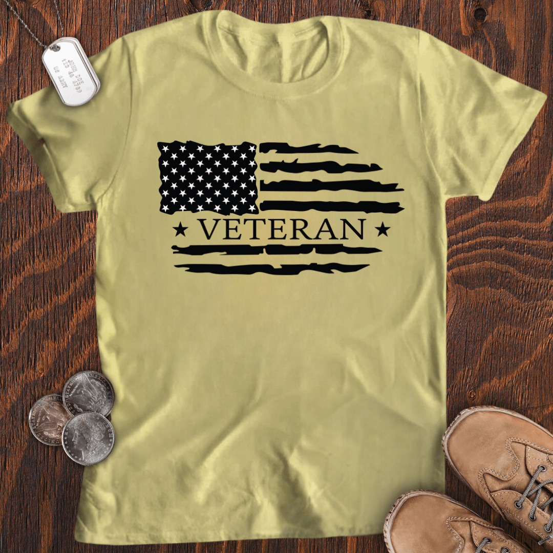 USA Flag Veteran V3 T-Shirt